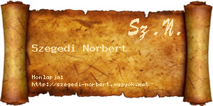 Szegedi Norbert névjegykártya